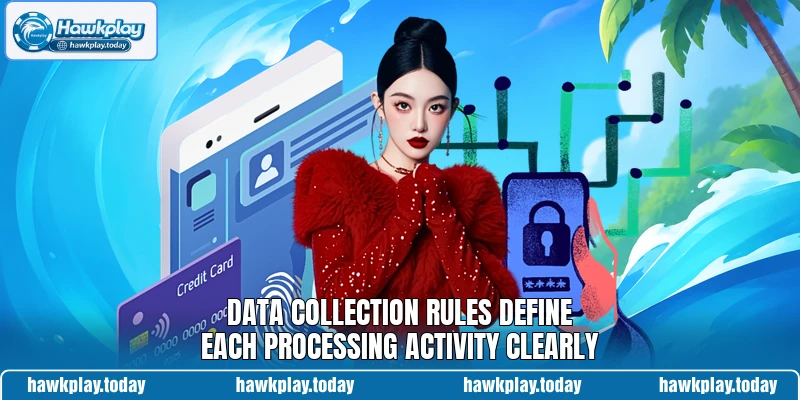 Data collection rules define each processing activity clearly